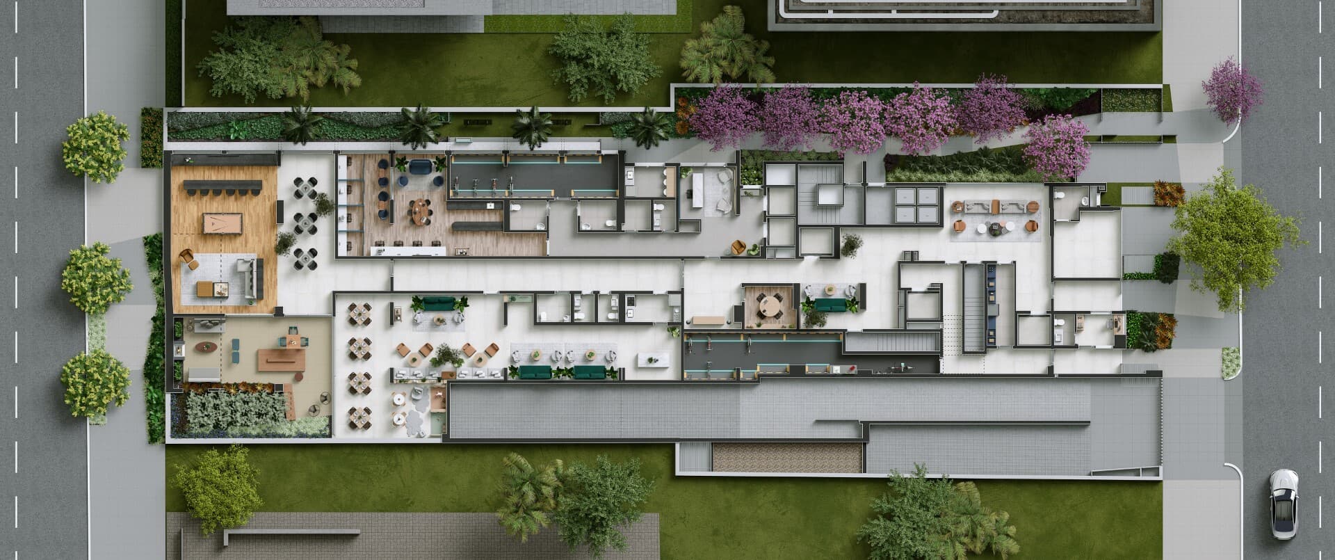 Planta 1 — Raiz by Paulo Mauro - NR