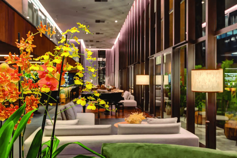 Qoya Hotel São Paulo — imagem 4