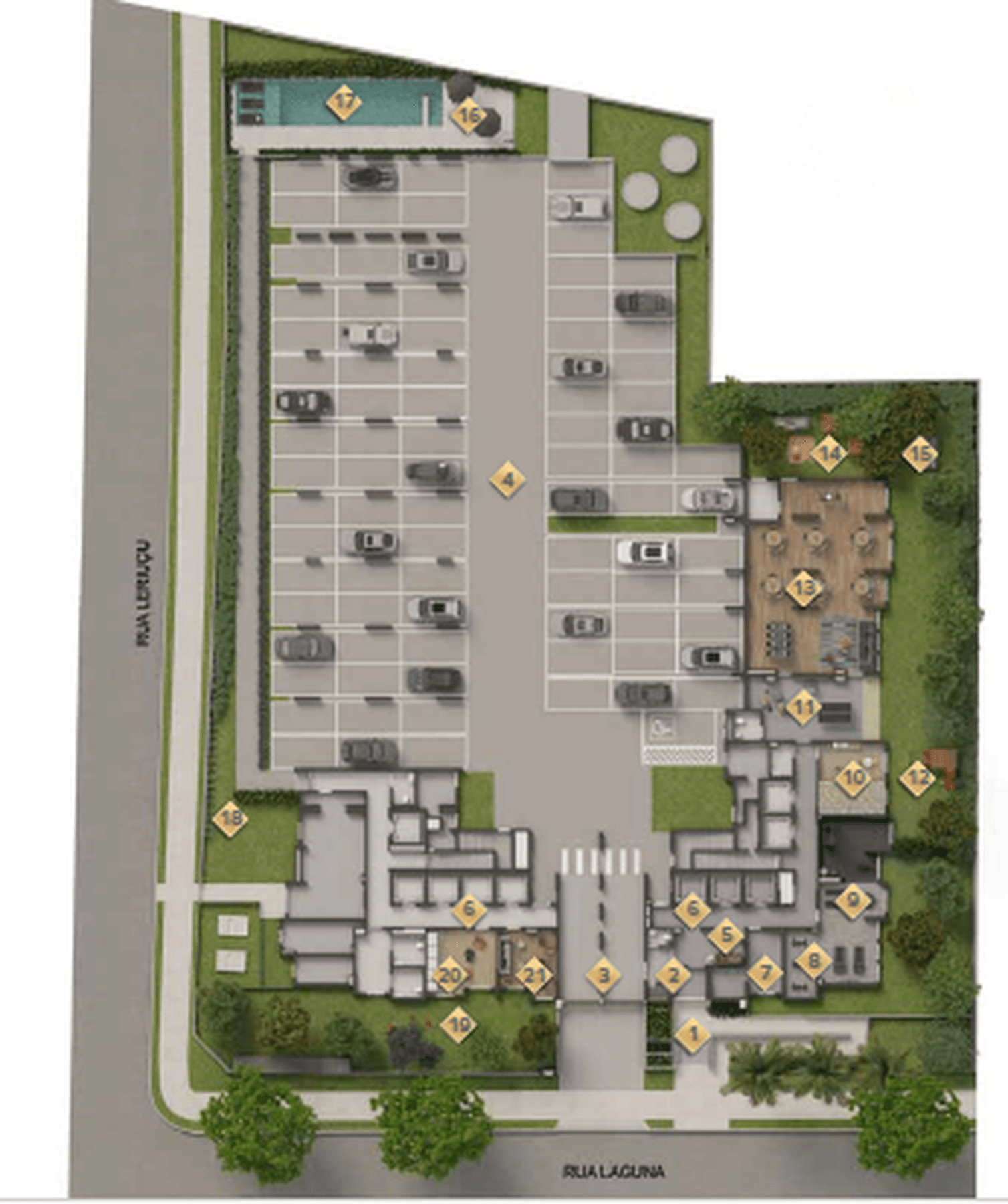 Planta 2 — Vivaz Selection Laguna