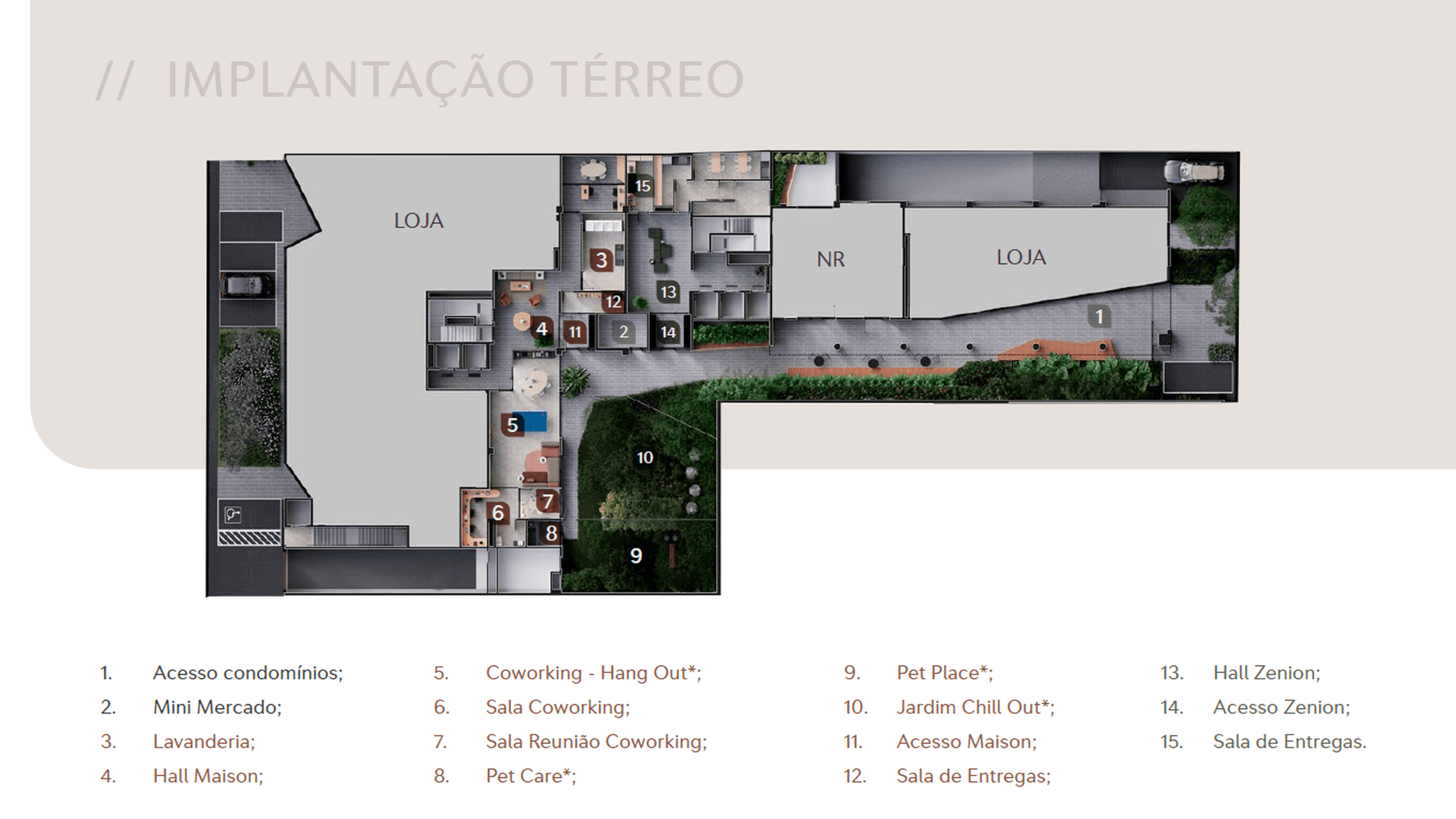 Planta 6 — Zenion