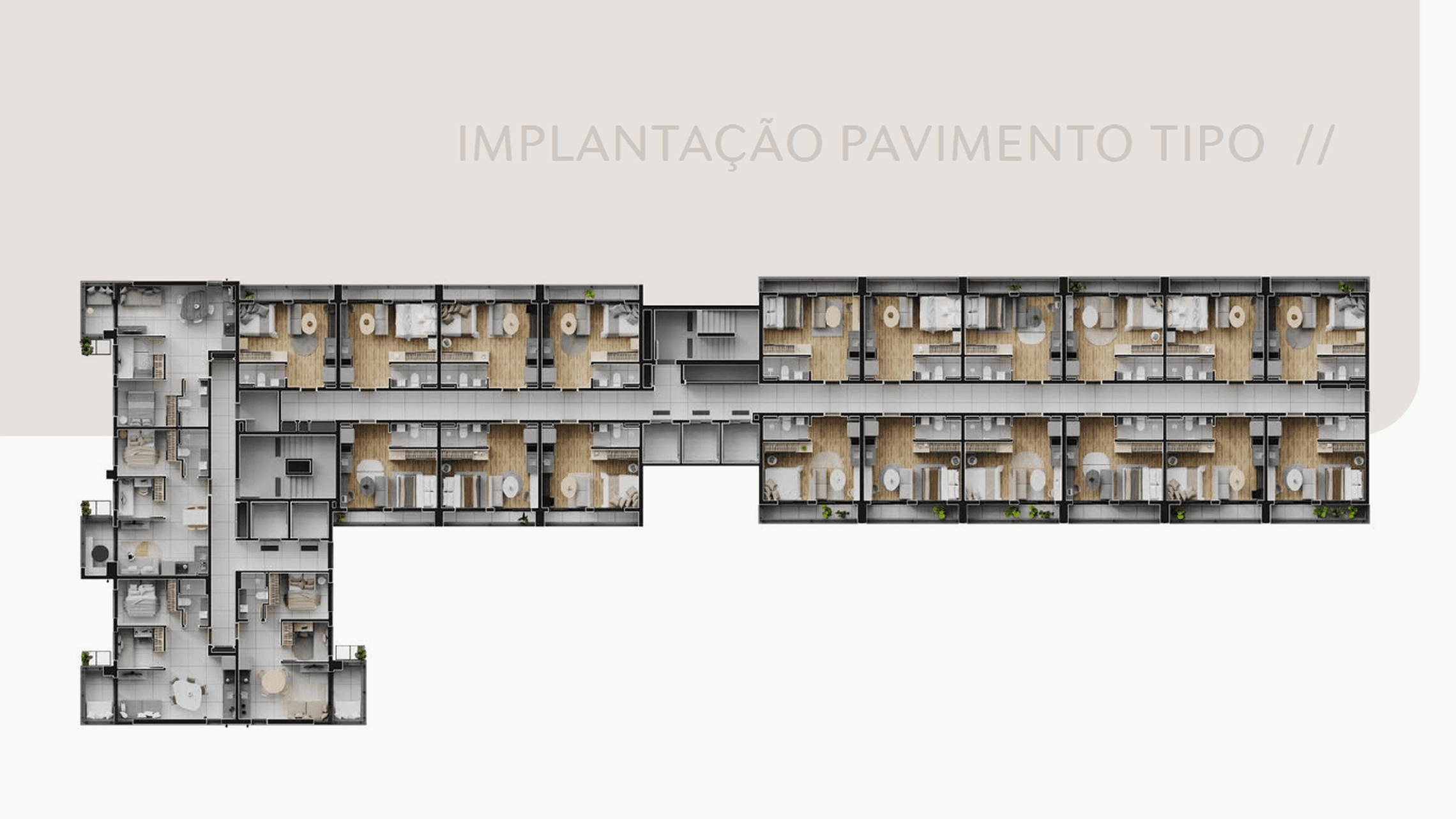 Planta 5 — Zenion