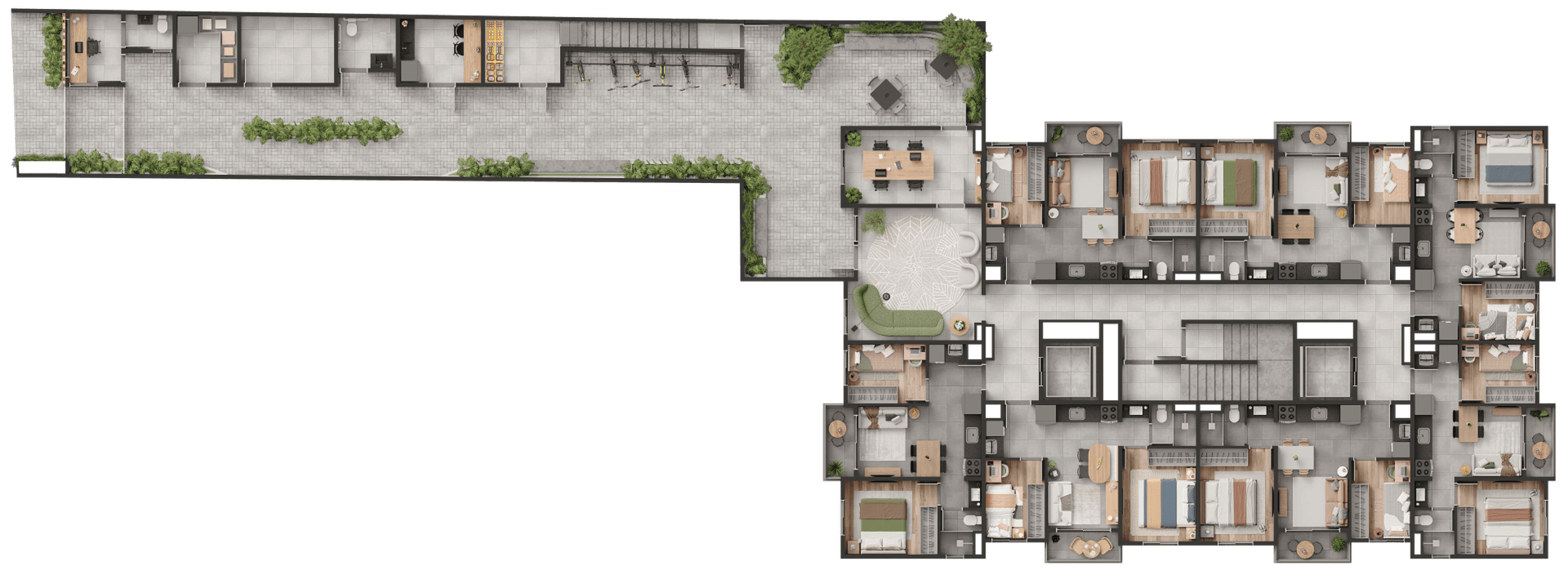 Planta 5 — Philomena