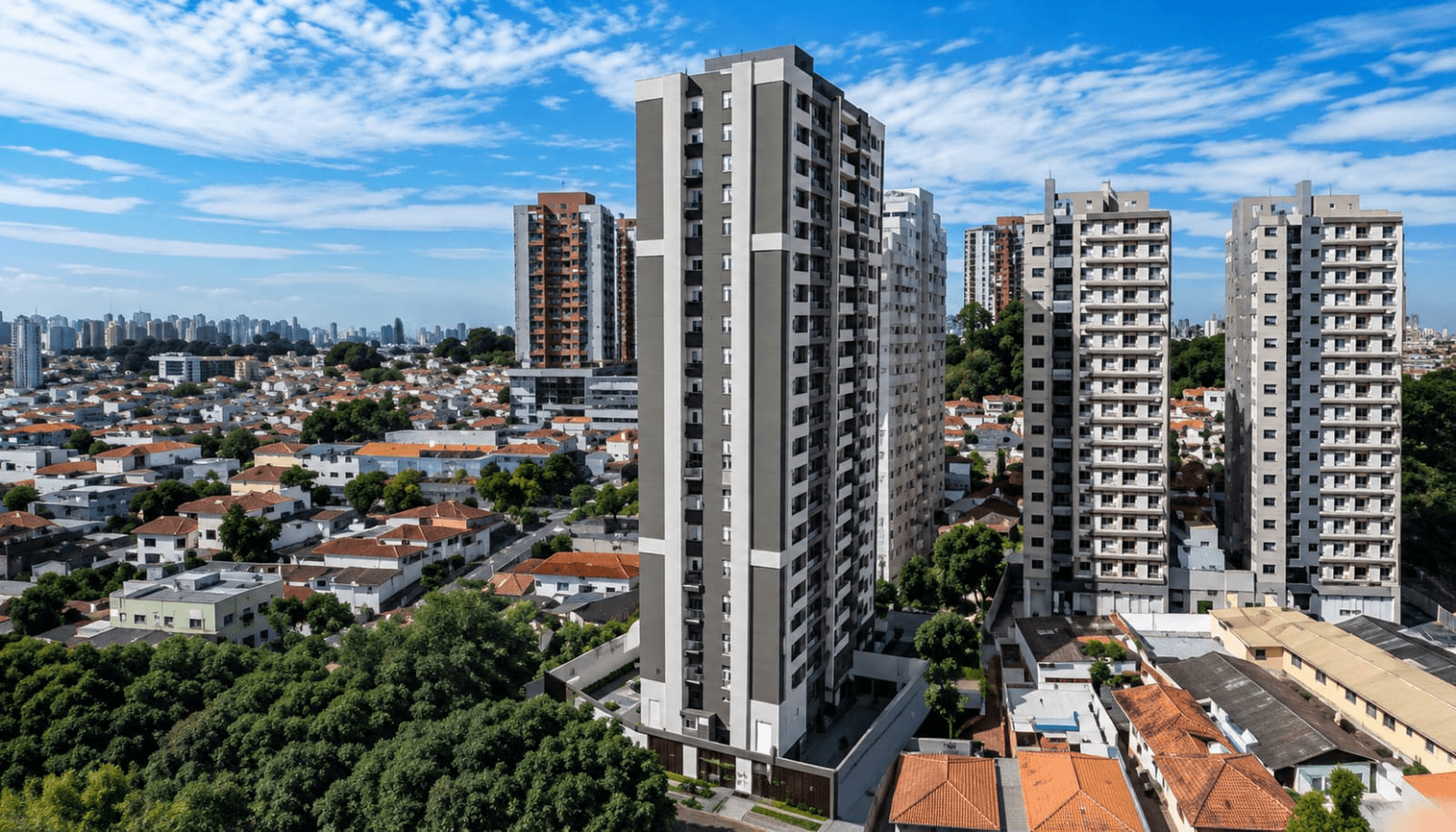 Livus Essencial Patriarca — imagem 4